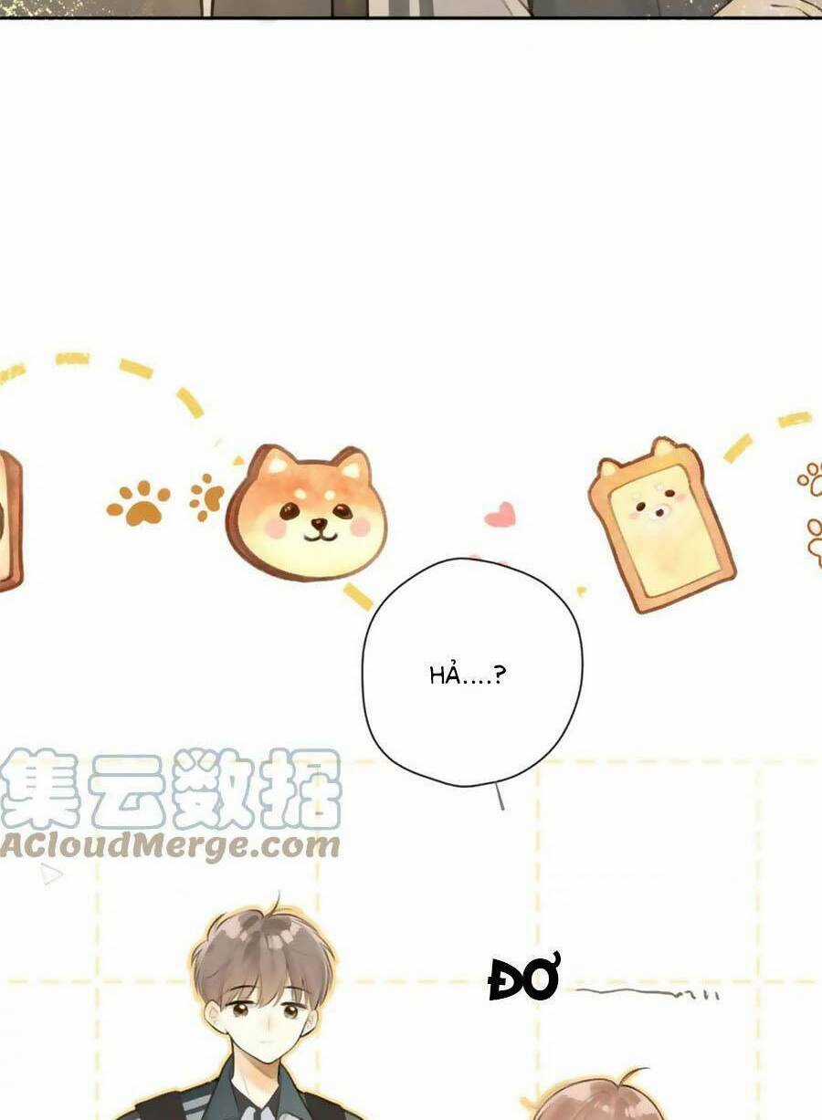 Tình Yêu Duy Nhất Của Tôi Chapter 41 trang 18
