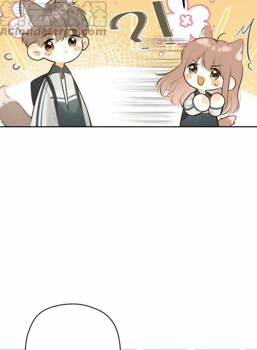 Tình Yêu Duy Nhất Của Tôi Chapter 41 trang 21