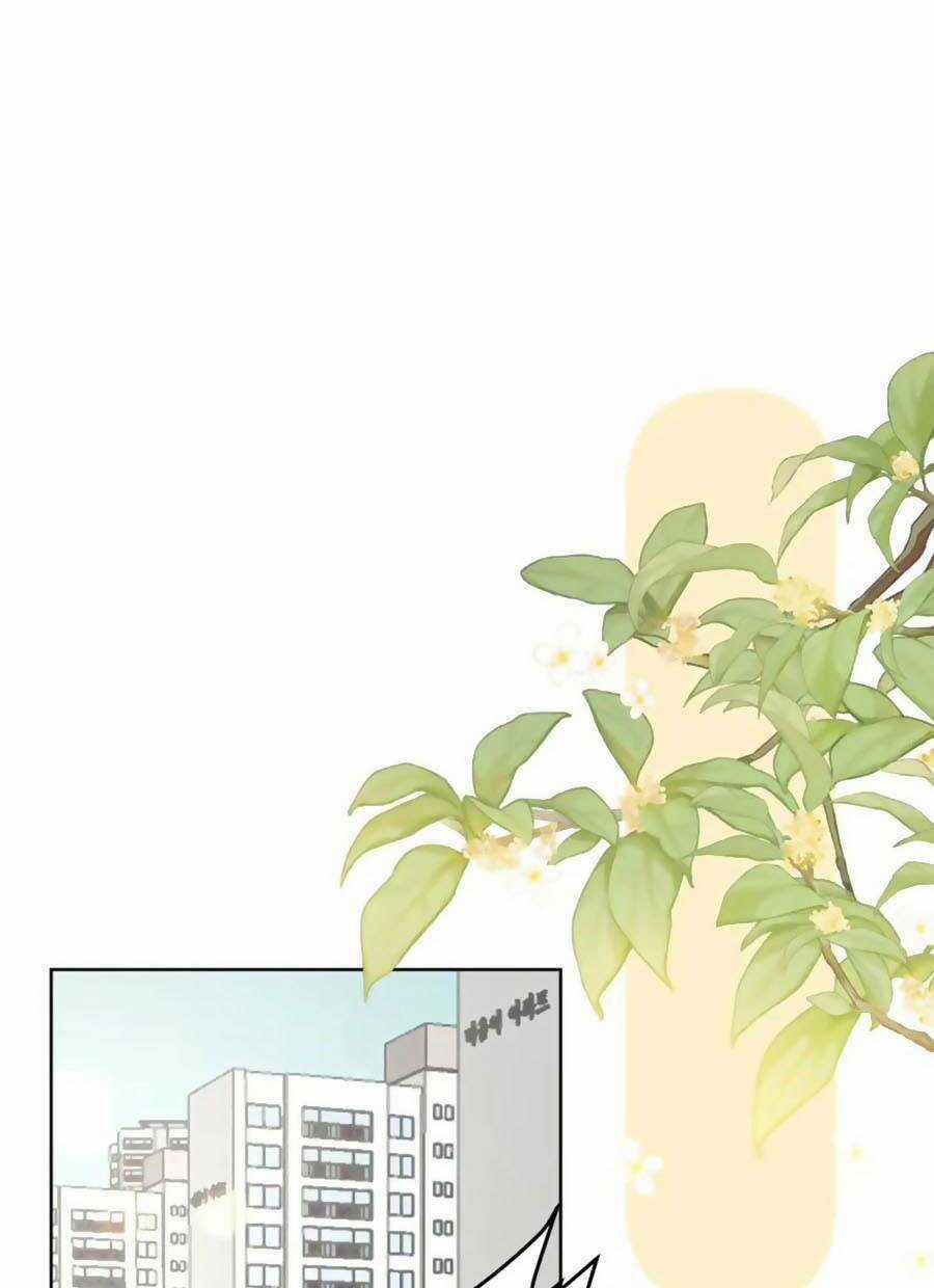 Tình Yêu Duy Nhất Của Tôi Chapter 41 trang 3