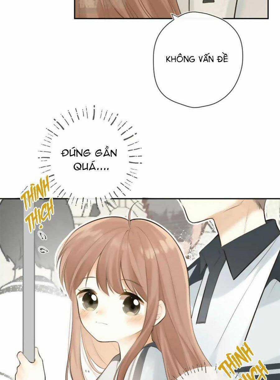 Tình Yêu Duy Nhất Của Tôi Chapter 41 trang 34
