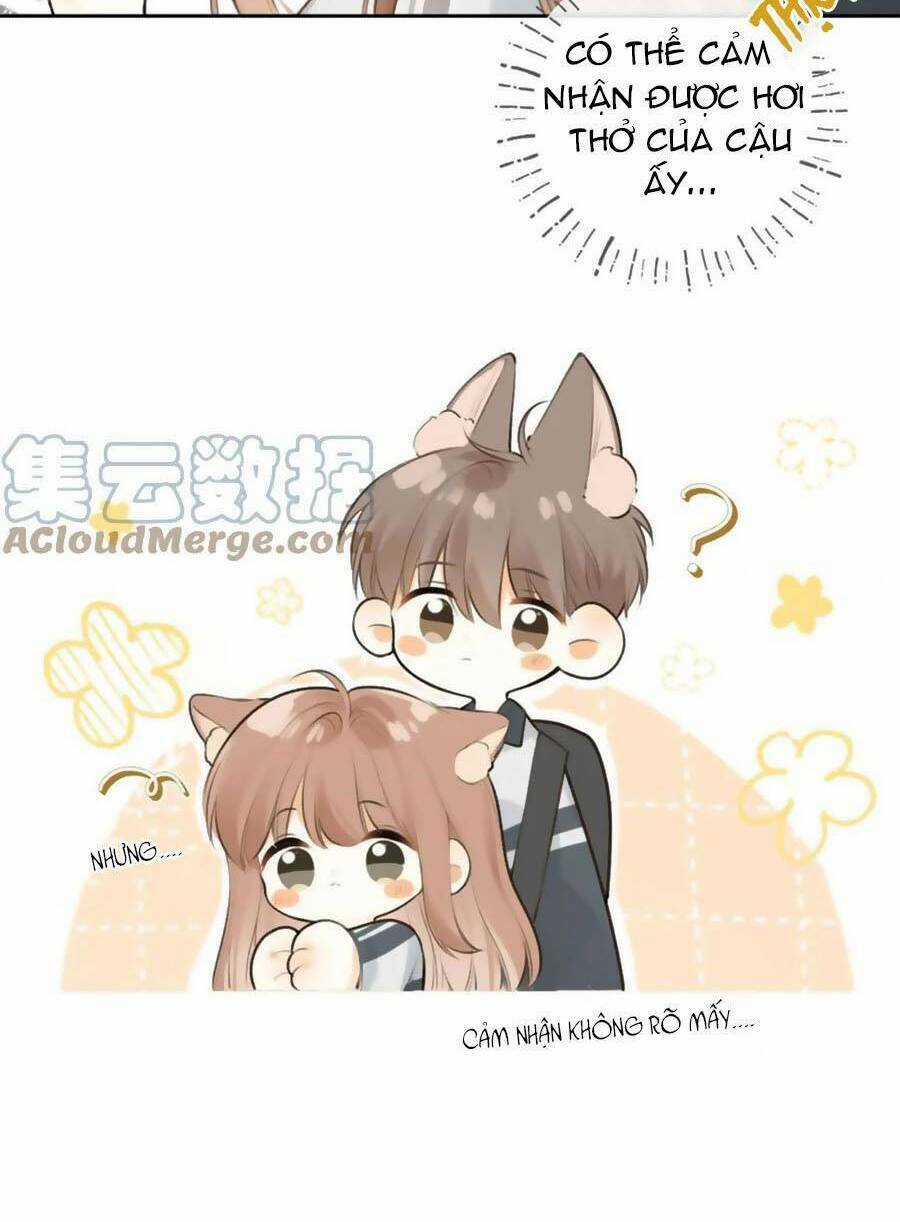 Tình Yêu Duy Nhất Của Tôi Chapter 41 trang 35