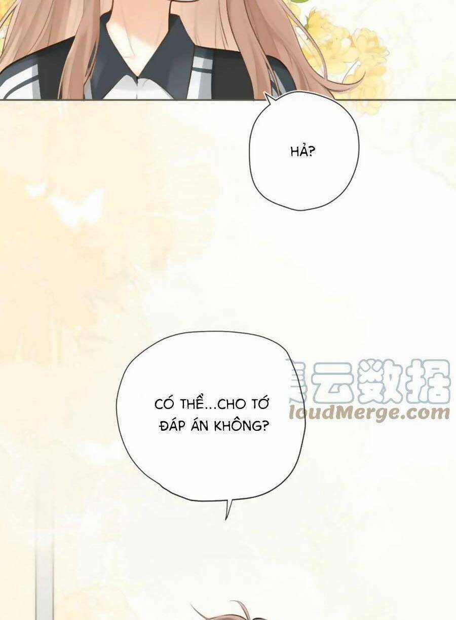 Tình Yêu Duy Nhất Của Tôi Chapter 41 trang 37