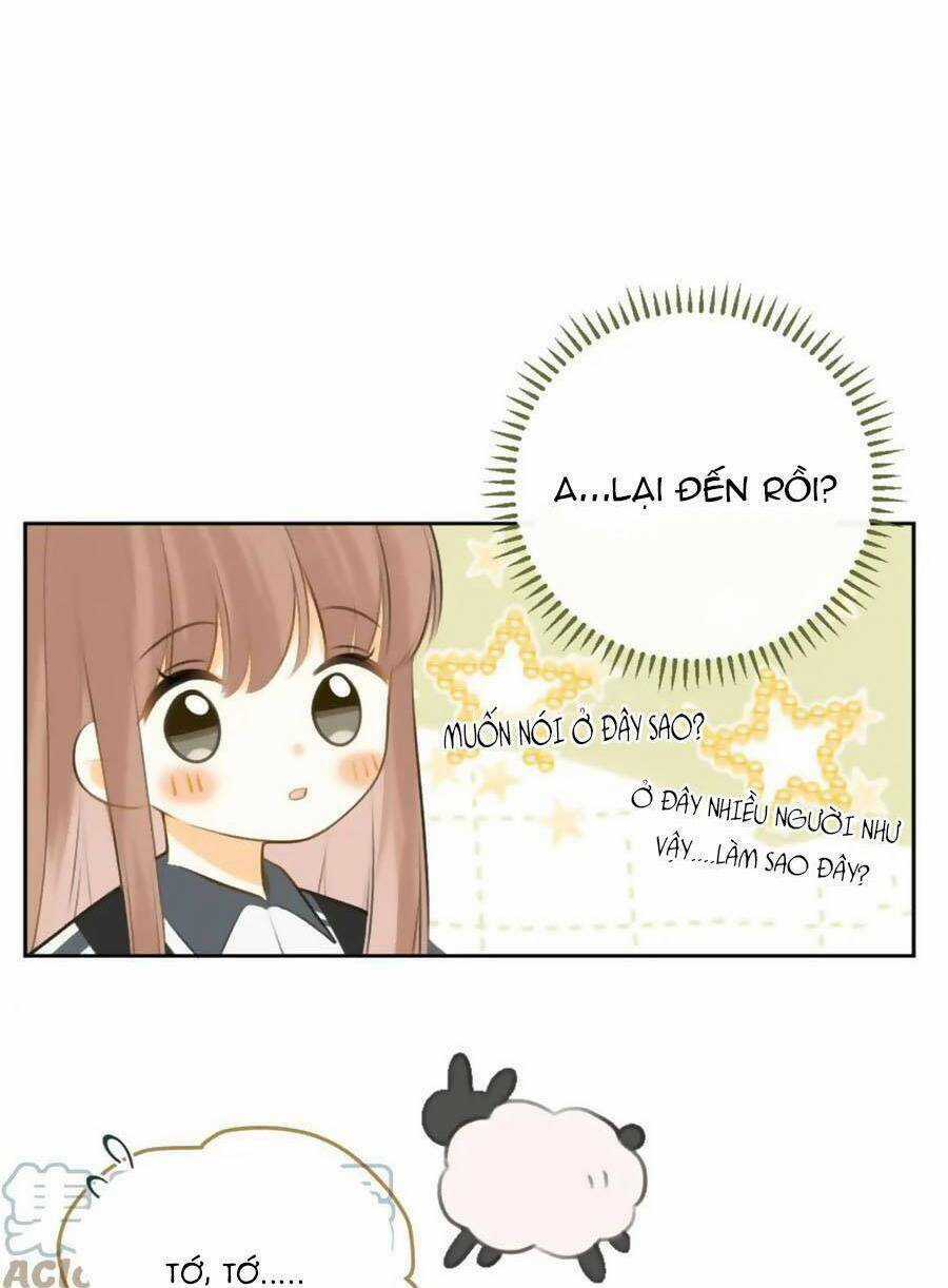 Tình Yêu Duy Nhất Của Tôi Chapter 41 trang 39