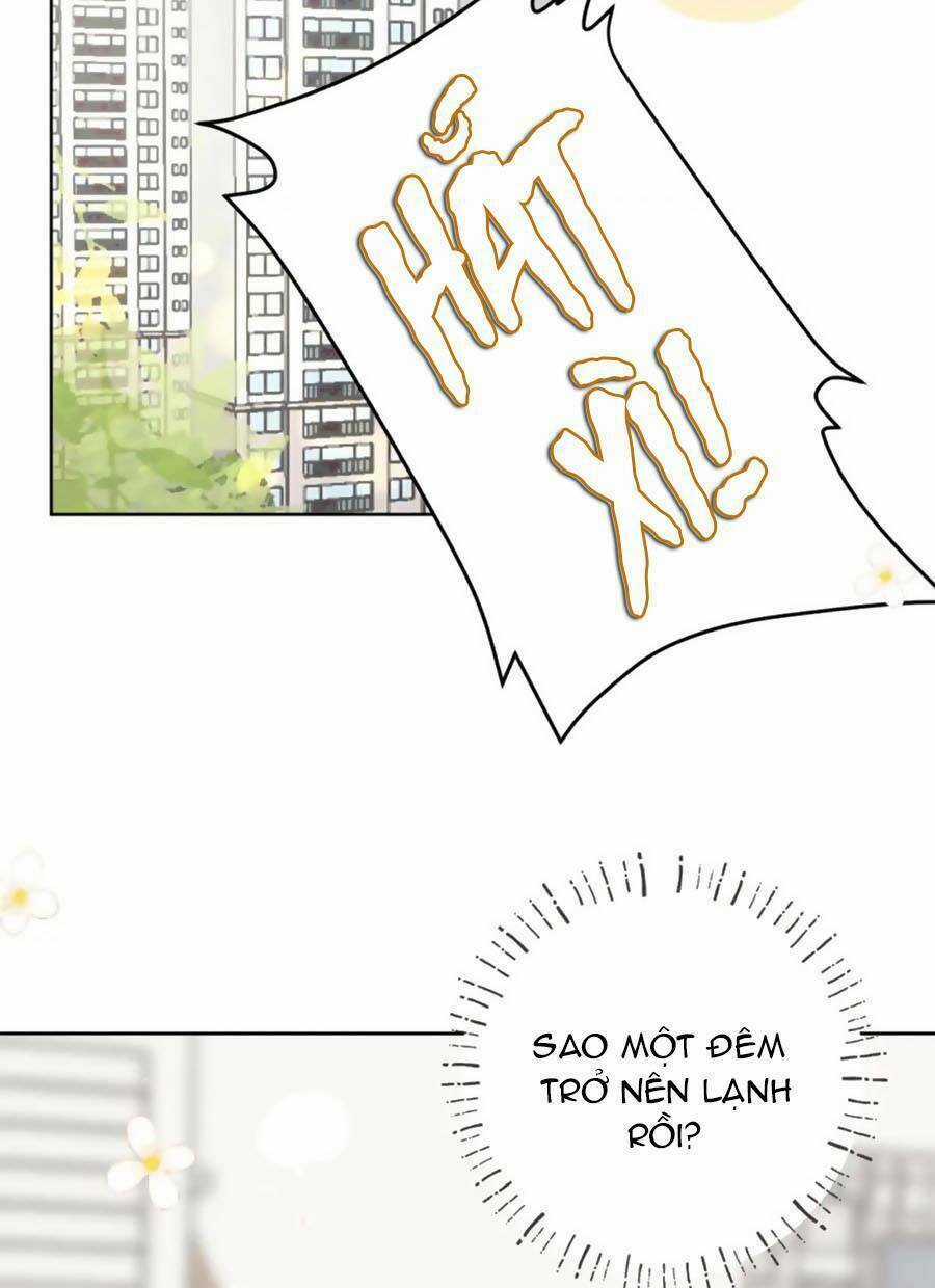 Tình Yêu Duy Nhất Của Tôi Chapter 41 trang 4