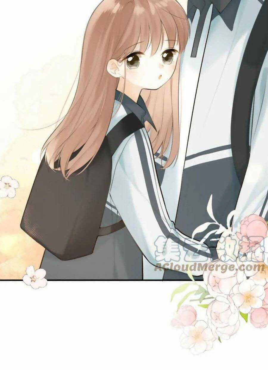 Tình Yêu Duy Nhất Của Tôi Chapter 41 trang 46