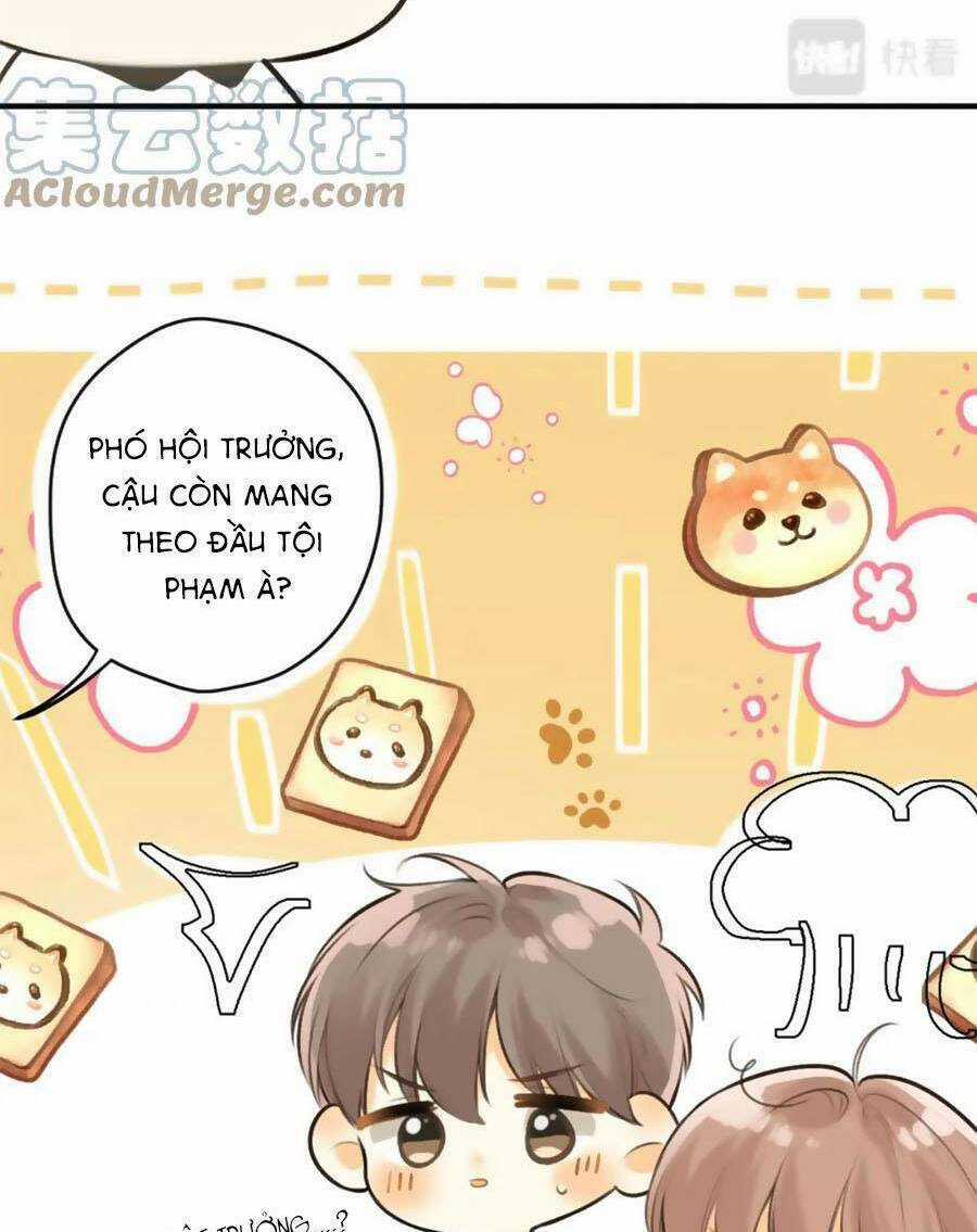 Tình Yêu Duy Nhất Của Tôi Chapter 41 trang 50