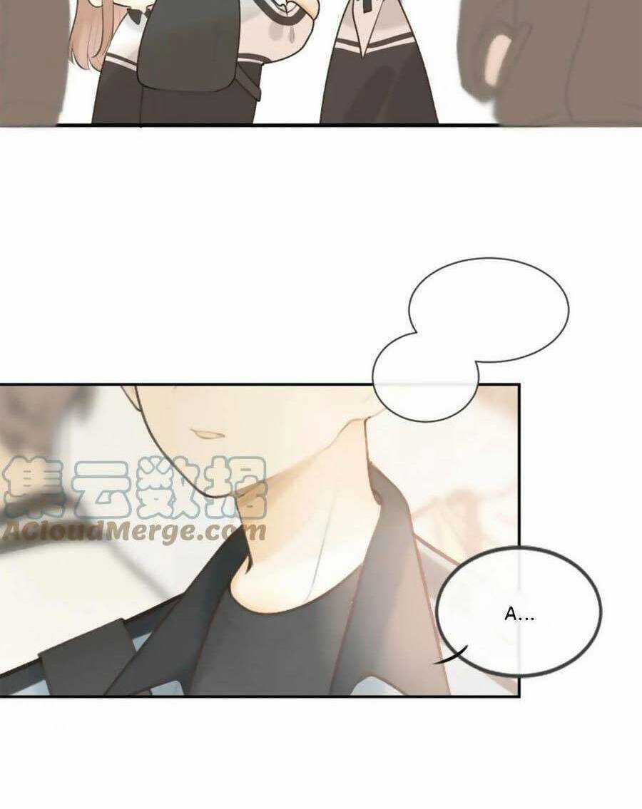 Tình Yêu Duy Nhất Của Tôi Chapter 41 trang 52