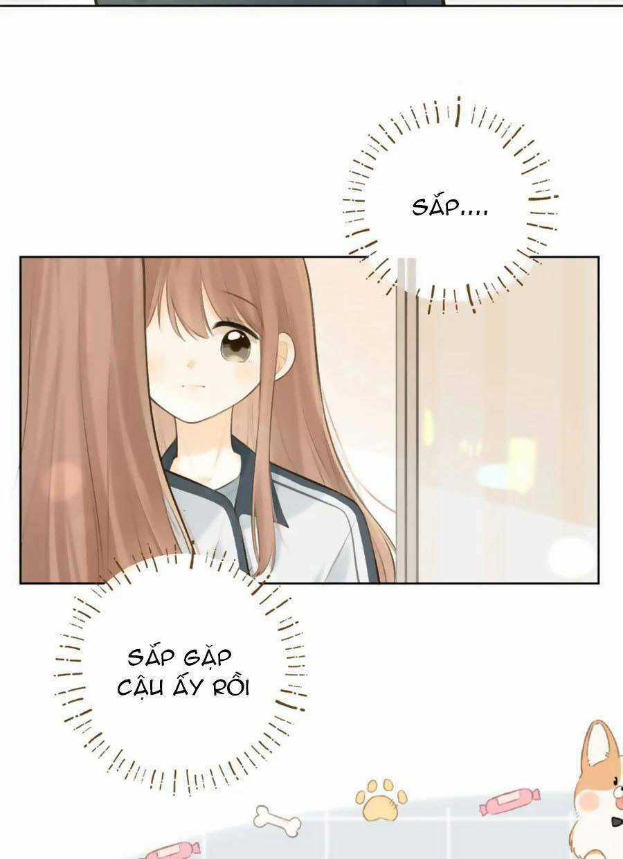 Tình Yêu Duy Nhất Của Tôi Chapter 41 trang 6