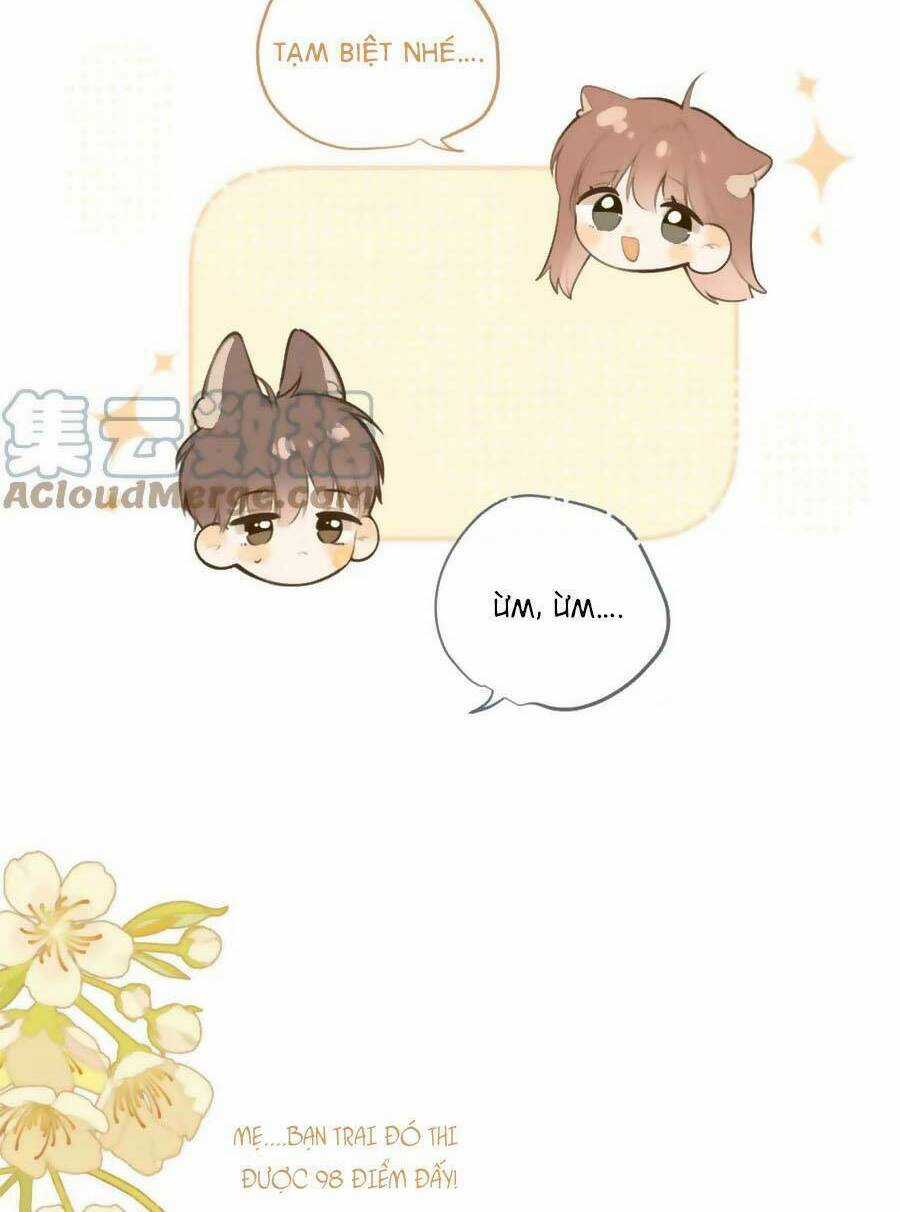 Tình Yêu Duy Nhất Của Tôi Chapter 42.5 trang 14