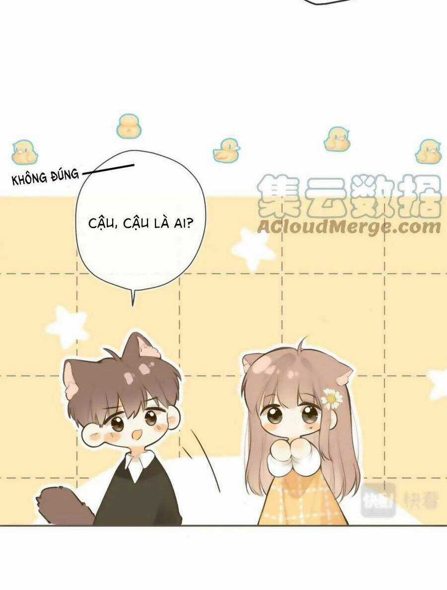Tình Yêu Duy Nhất Của Tôi Chapter 42.5 trang 6