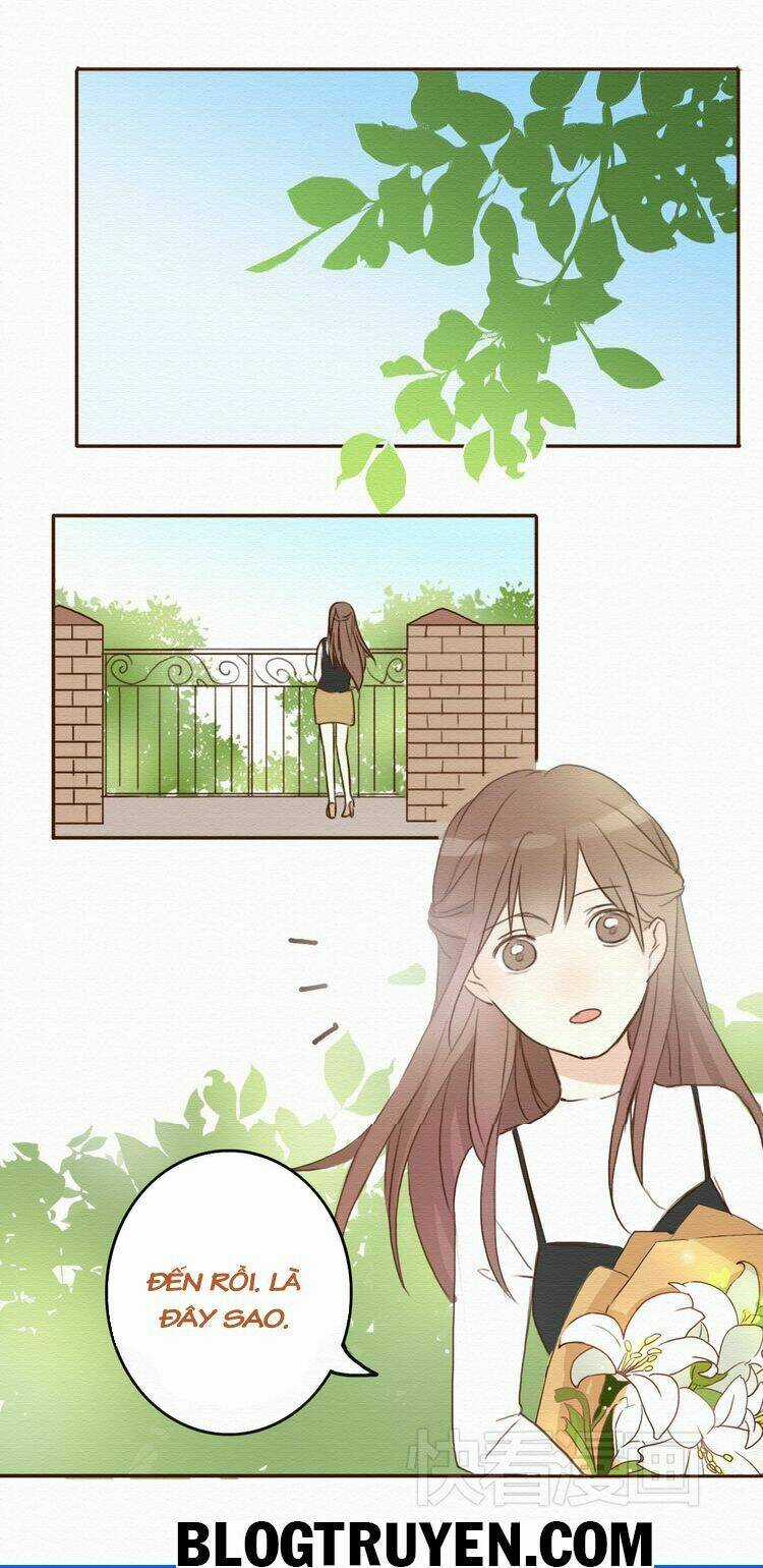 Tình Yêu Không Nói Dối Chapter 10 trang 14