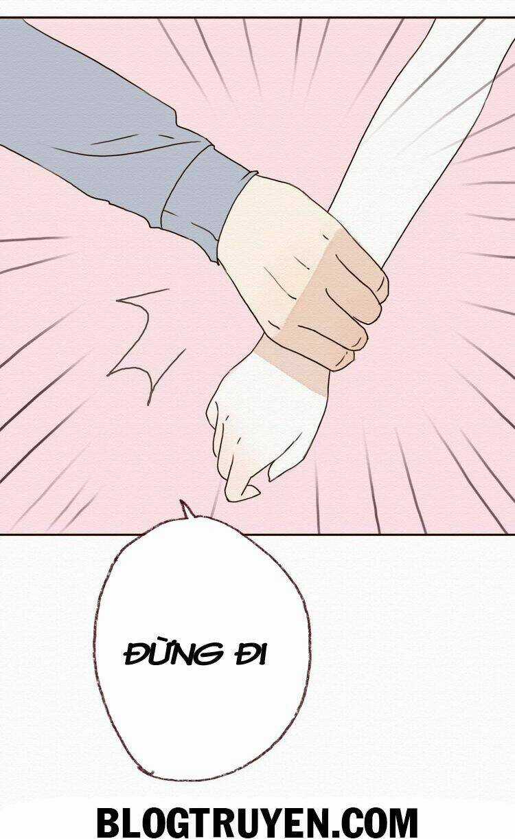 Tình Yêu Không Nói Dối Chapter 14 trang 38