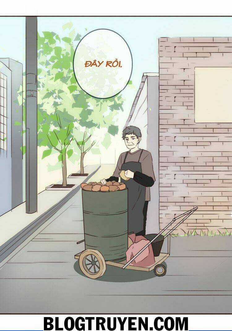 Tình Yêu Không Nói Dối Chapter 19 trang 17