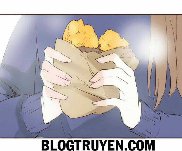 Tình Yêu Không Nói Dối Chapter 19 trang 19