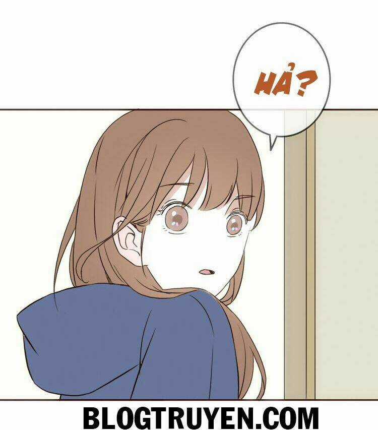 Tình Yêu Không Nói Dối Chapter 19 trang 43