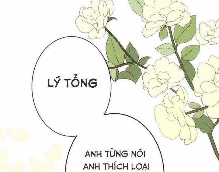 Tình Yêu Không Nói Dối Chapter 23 trang 33