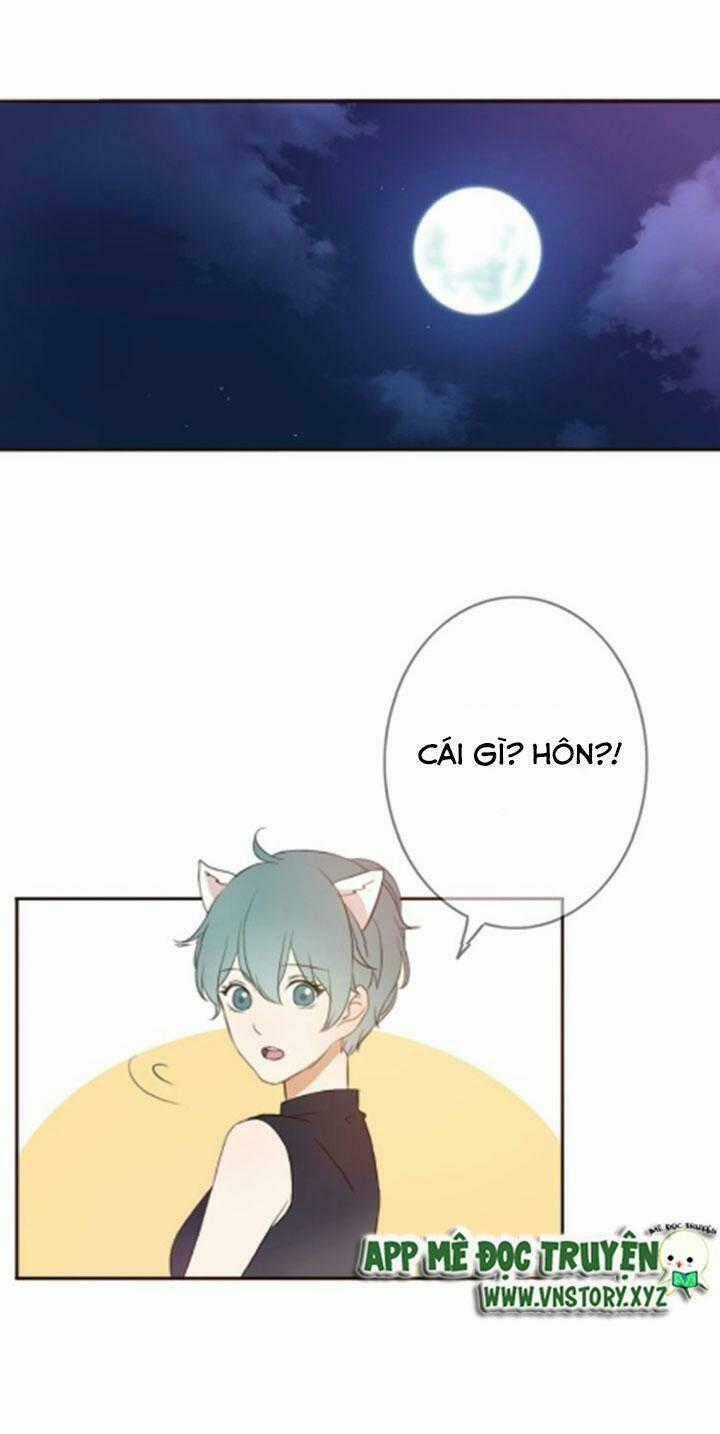 Tình Yêu Không Nói Dối Chapter 29 trang 1