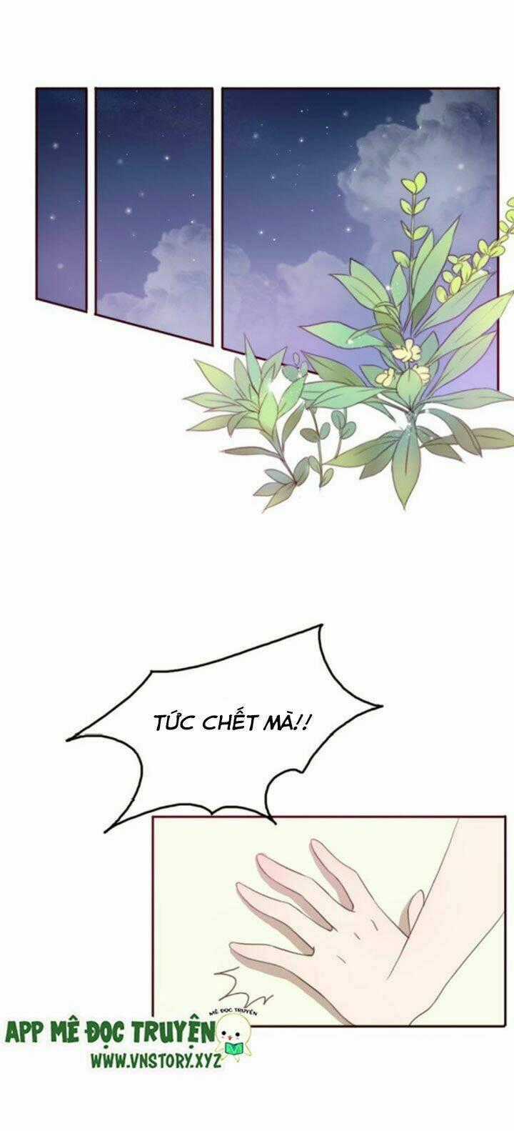 Tình Yêu Không Nói Dối Chapter 32 trang 1