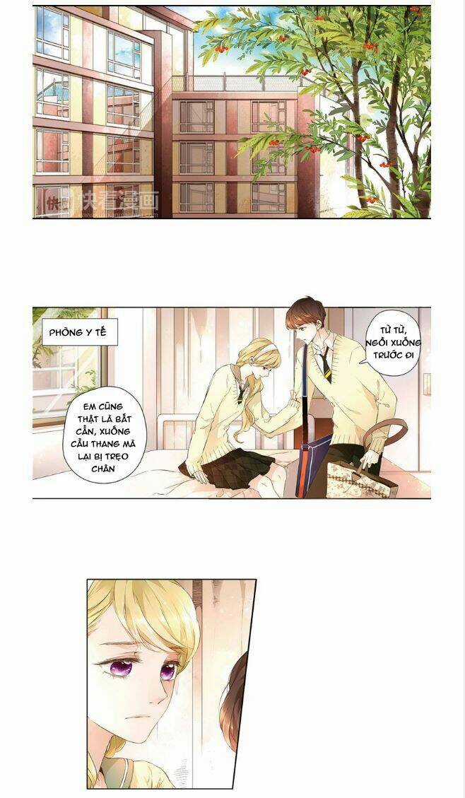 Tình Yêu Là Màu Hoa Anh Thảo Chapter 14 trang 1