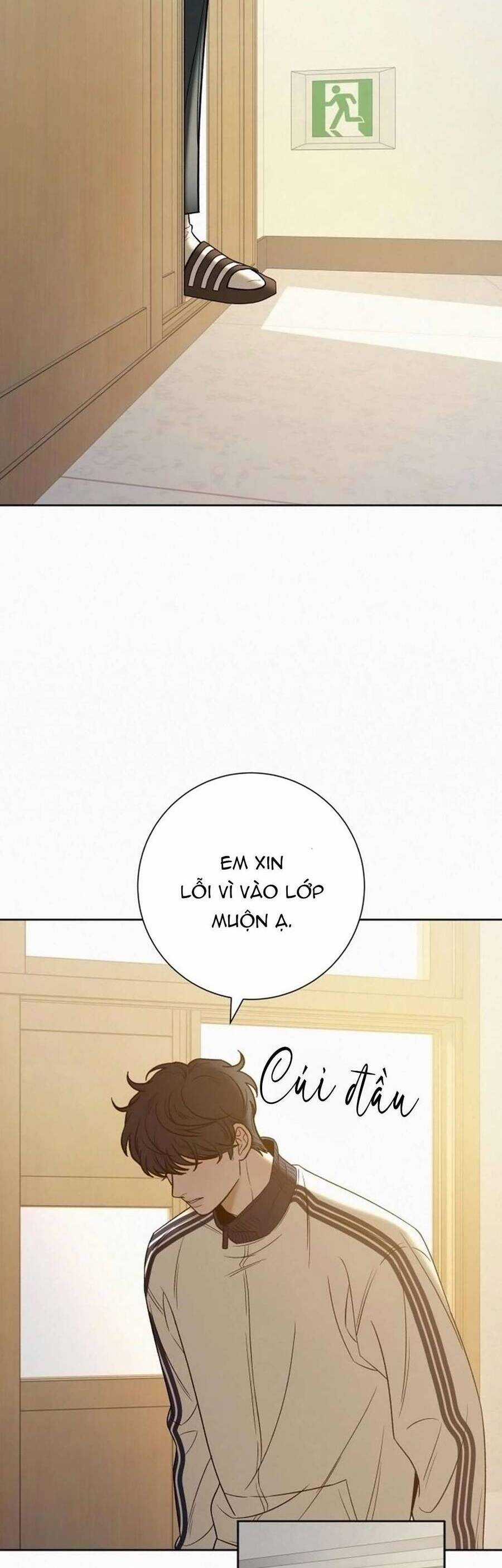 Tình Yêu Trong Sáng Chapter 102 trang 39