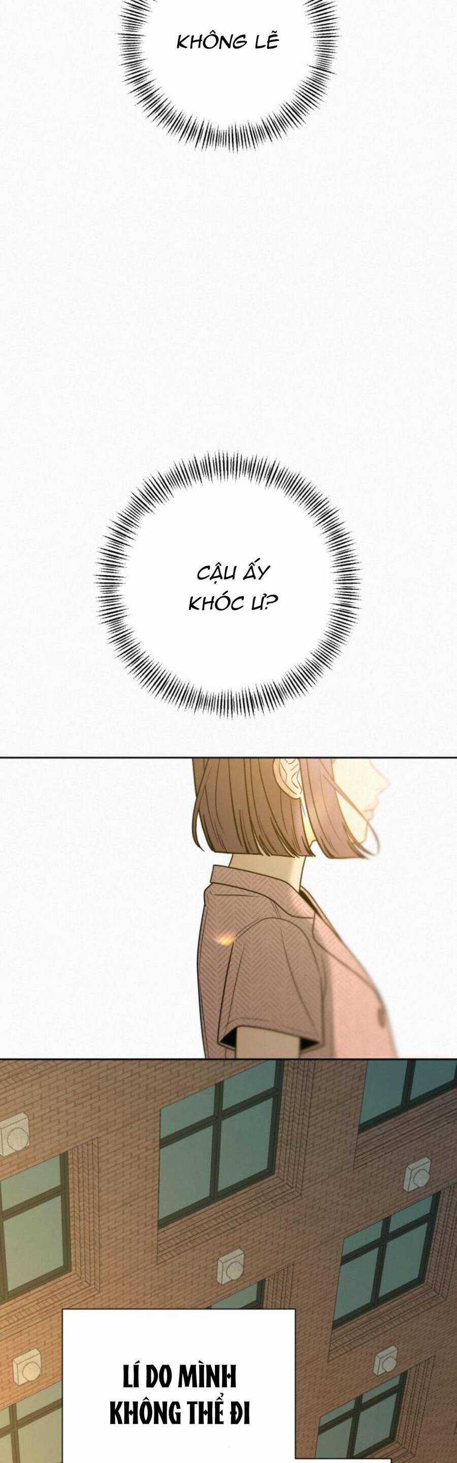 Tình Yêu Trong Sáng Chapter 81 trang 50