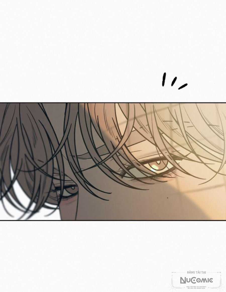 Tình Yêu Trong Sáng Chapter 87 trang 10