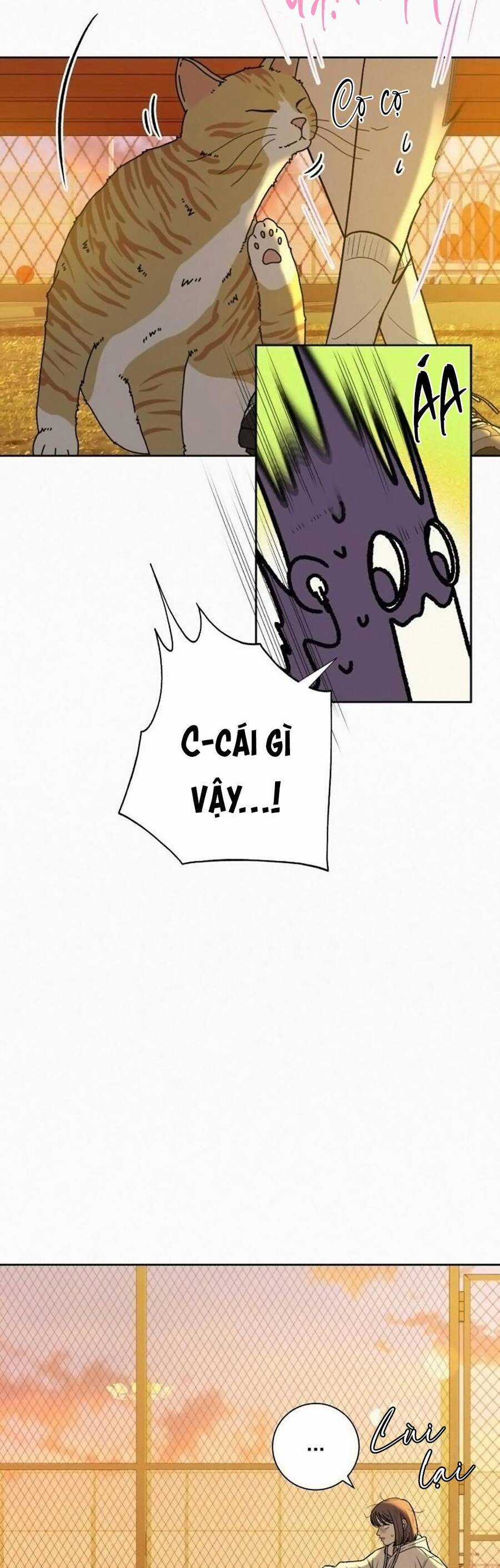 Tình Yêu Trong Sáng Chapter 99 trang 18