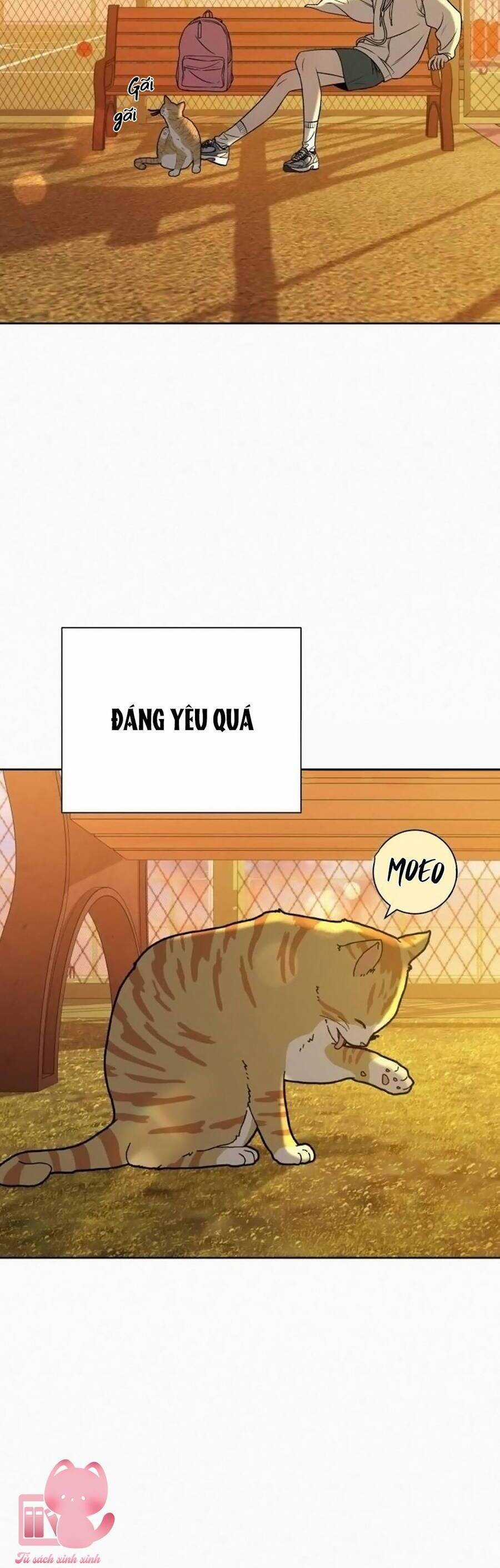 Tình Yêu Trong Sáng Chapter 99 trang 19