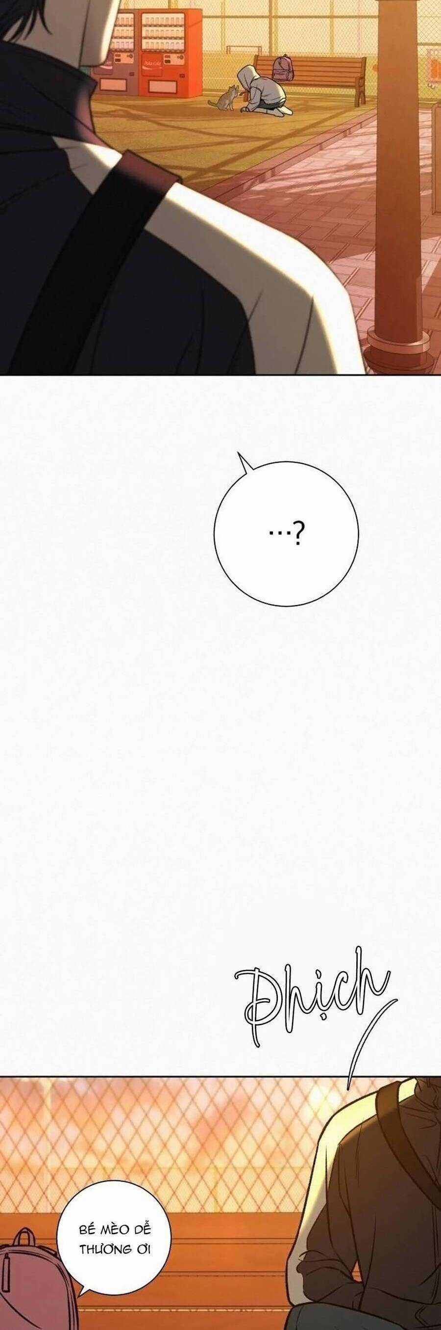 Tình Yêu Trong Sáng Chapter 99 trang 21