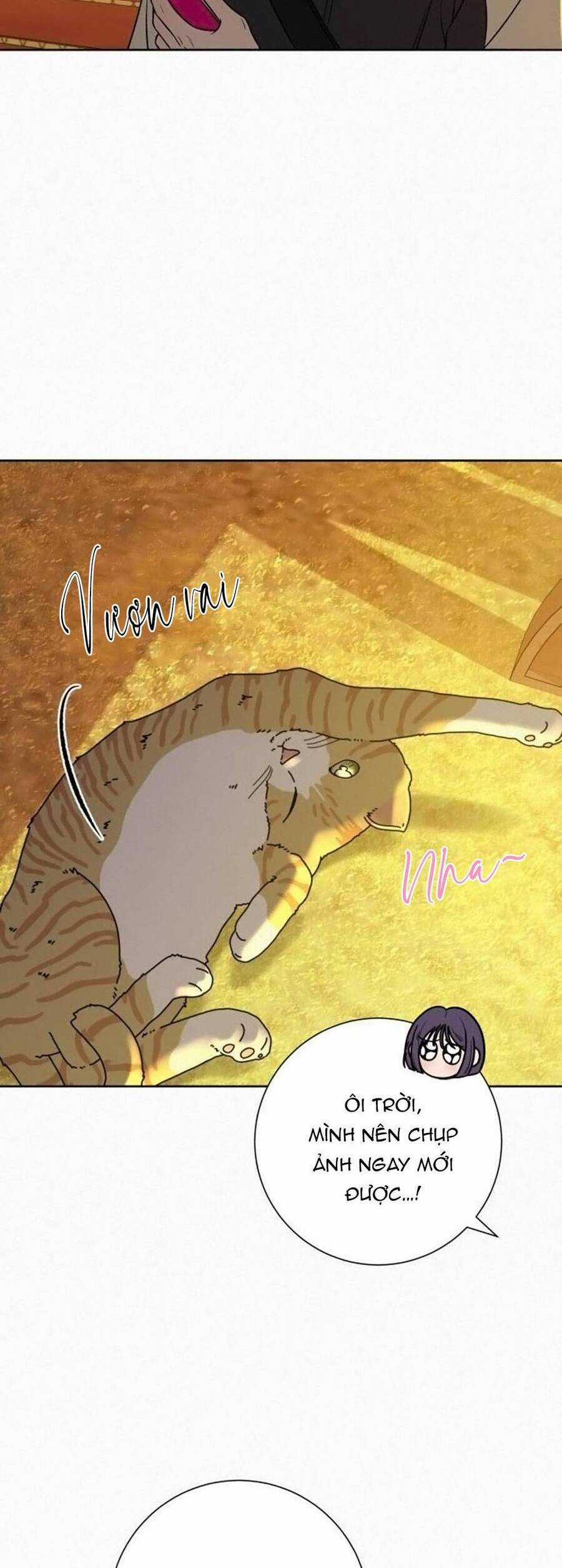 Tình Yêu Trong Sáng Chapter 99 trang 26