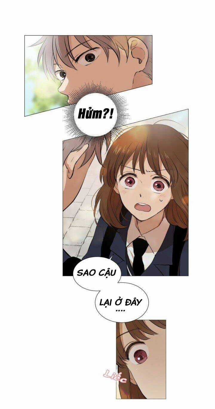 Tình Yêu Tuổi Trẻ Chapter 1 trang 41