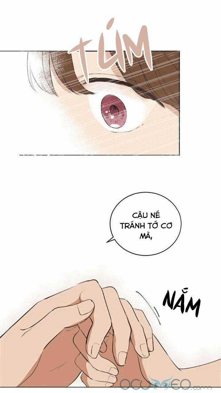 Tình Yêu Tuổi Trẻ Chapter 41 trang 19