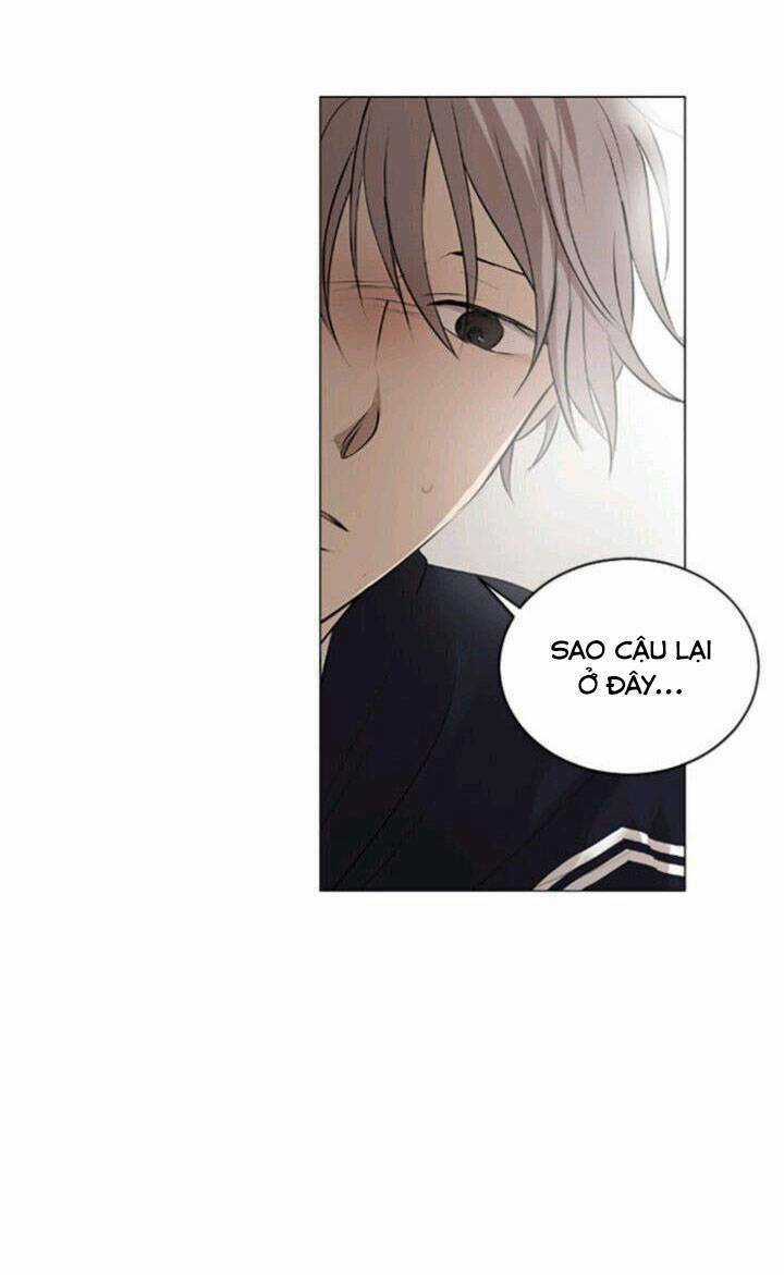 Tình Yêu Tuổi Trẻ Chapter 47 trang 3