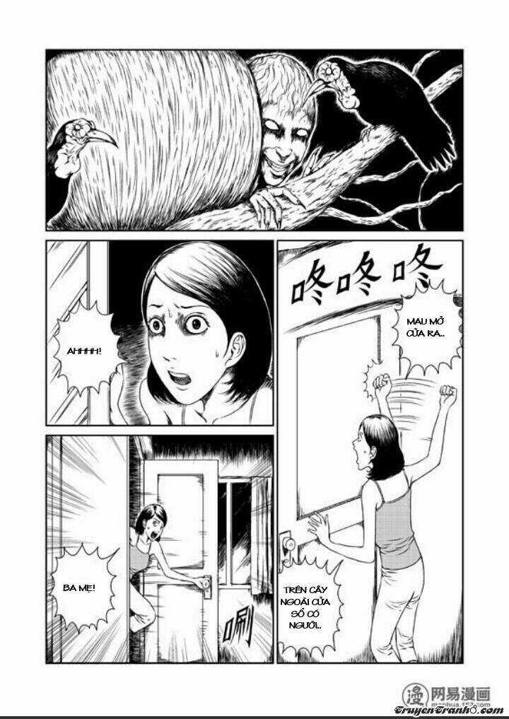 Tổ Chim Chapter 1 trang 10