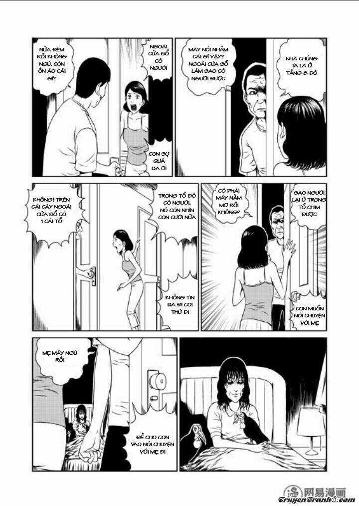 Tổ Chim Chapter 1 trang 11