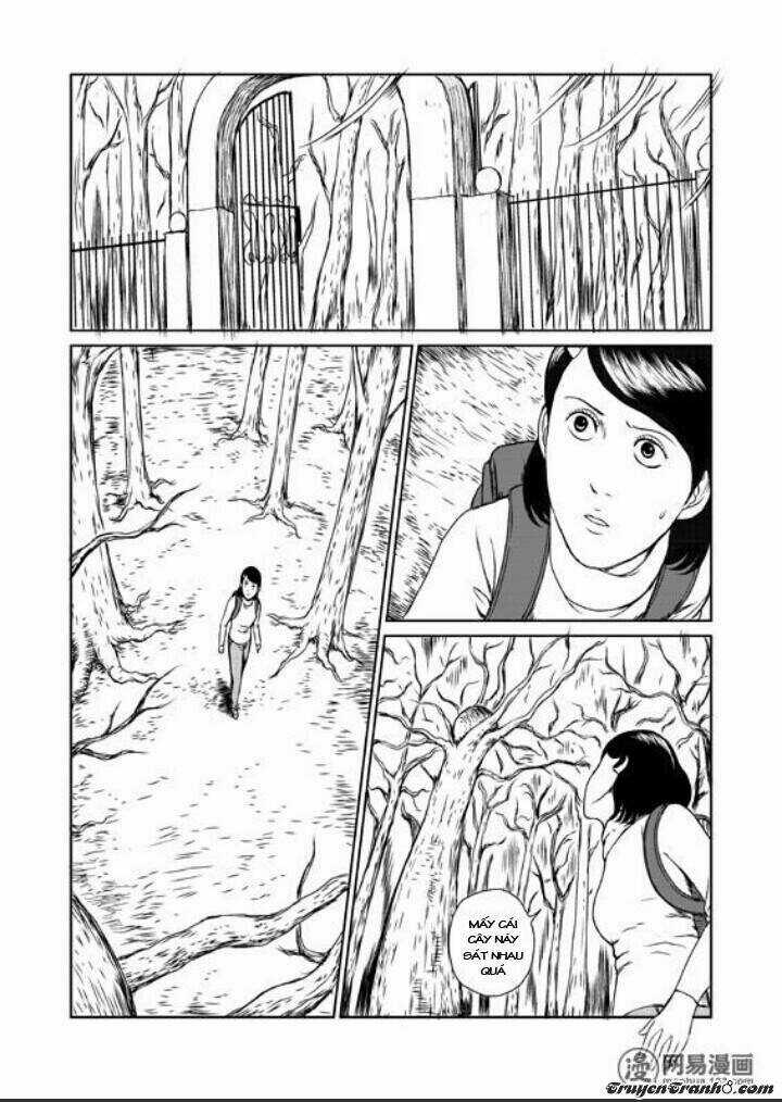 Tổ Chim Chapter 1 trang 13