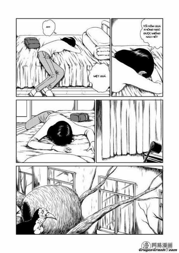 Tổ Chim Chapter 1 trang 16