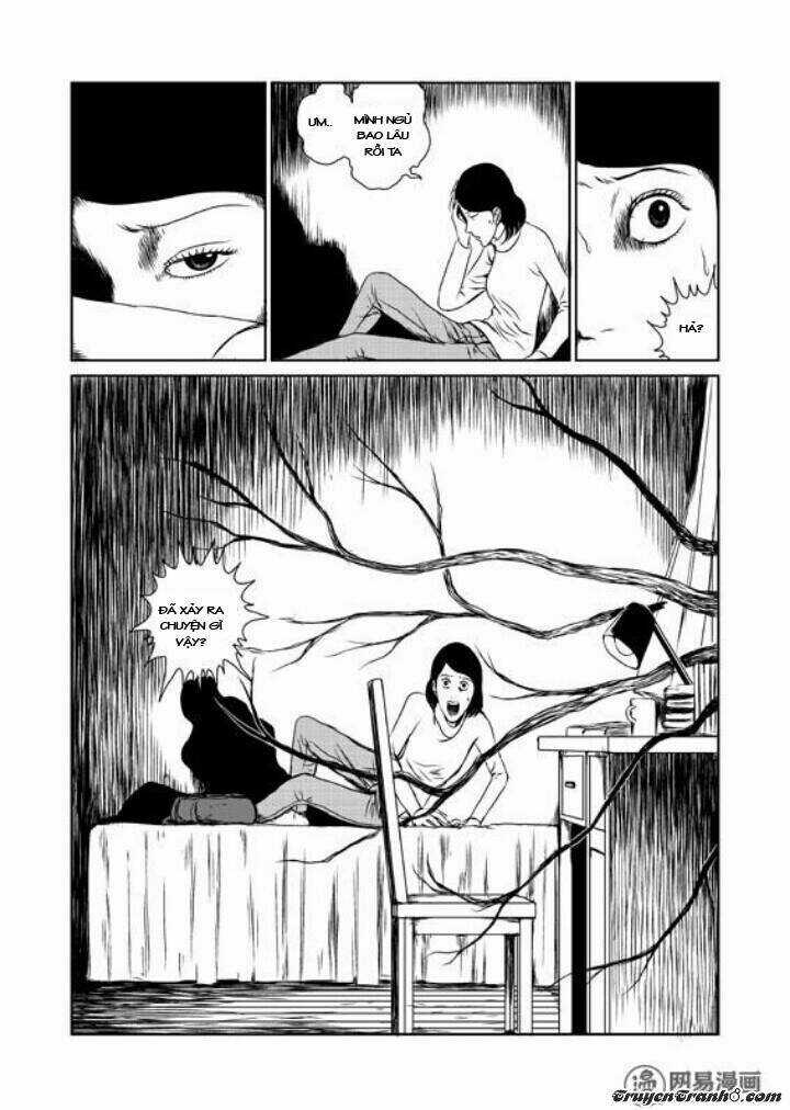 Tổ Chim Chapter 1 trang 17