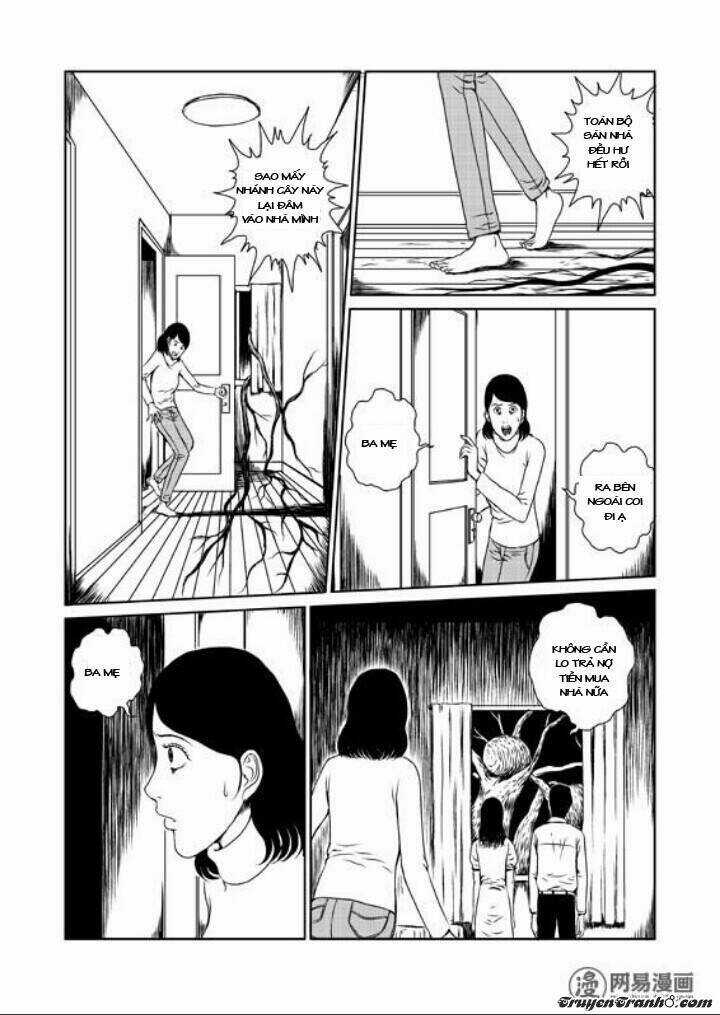 Tổ Chim Chapter 1 trang 18