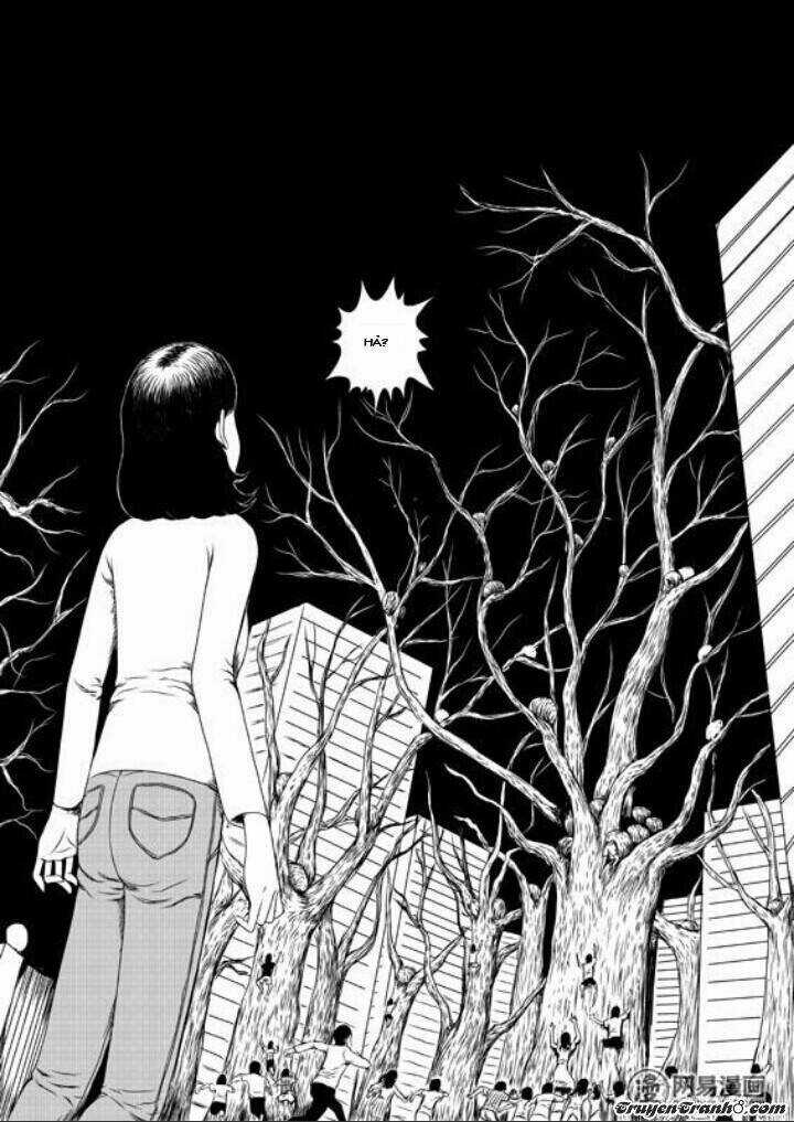 Tổ Chim Chapter 1 trang 22