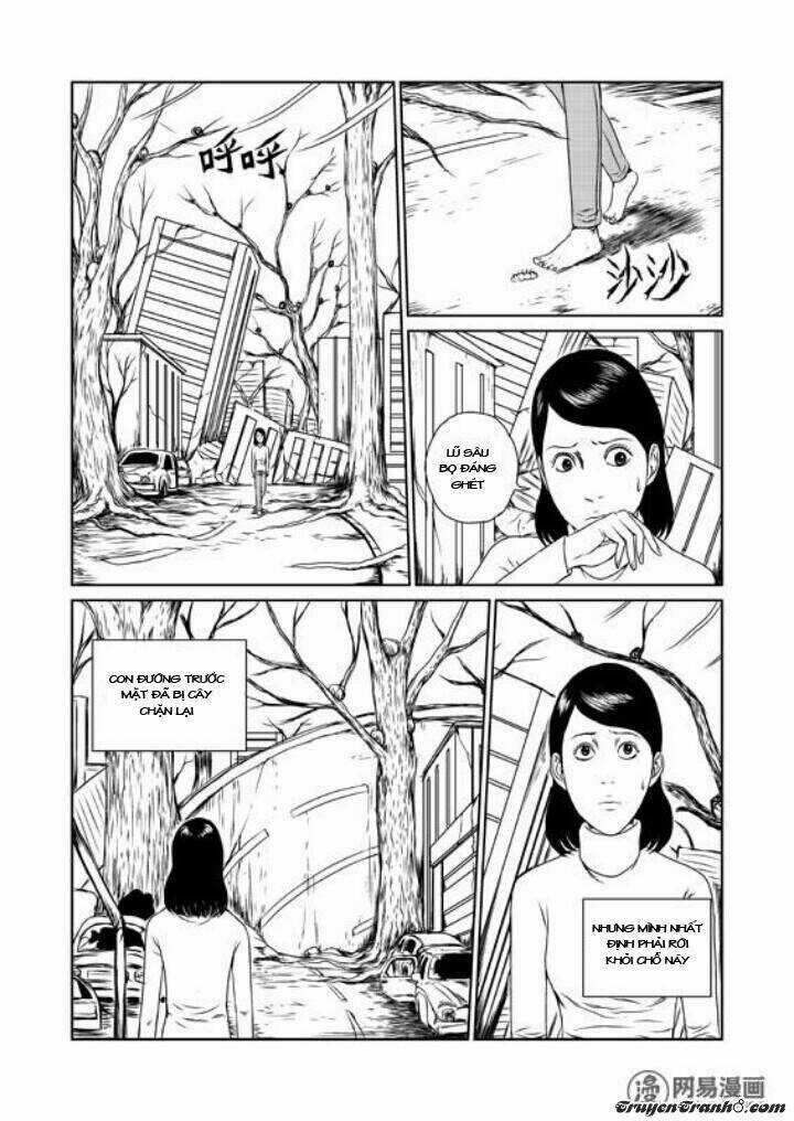 Tổ Chim Chapter 1 trang 25