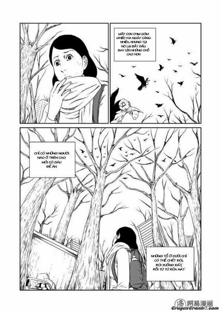 Tổ Chim Chapter 1 trang 29