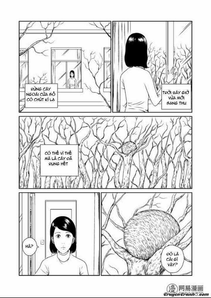 Tổ Chim Chapter 1 trang 3