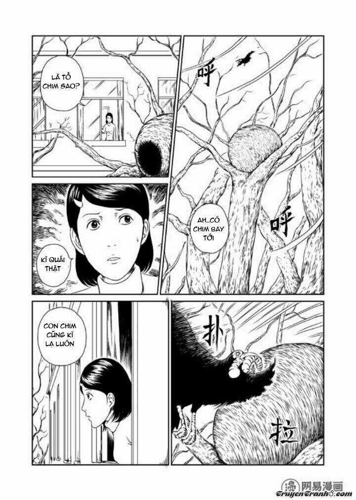 Tổ Chim Chapter 1 trang 4