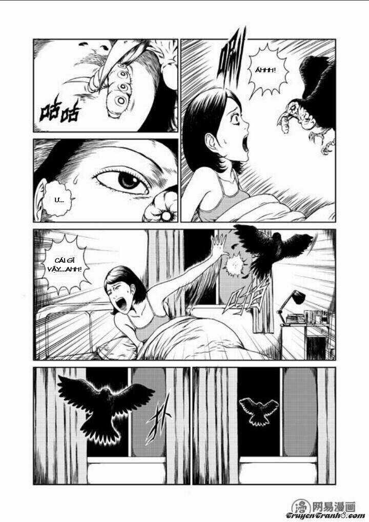 Tổ Chim Chapter 1 trang 8