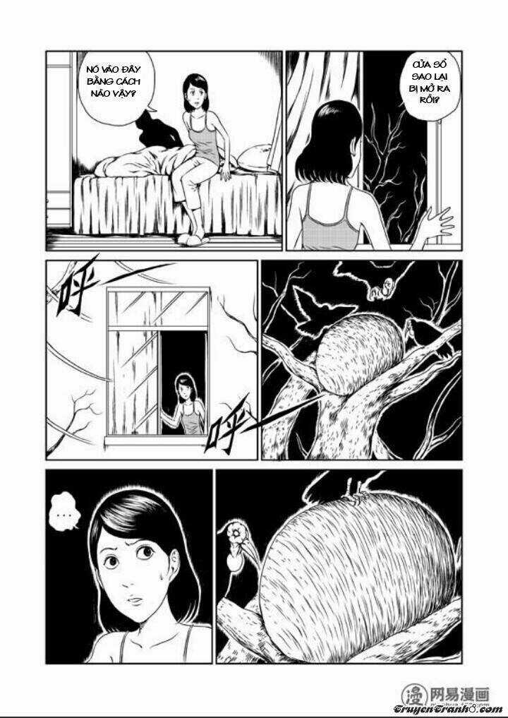 Tổ Chim Chapter 1 trang 9
