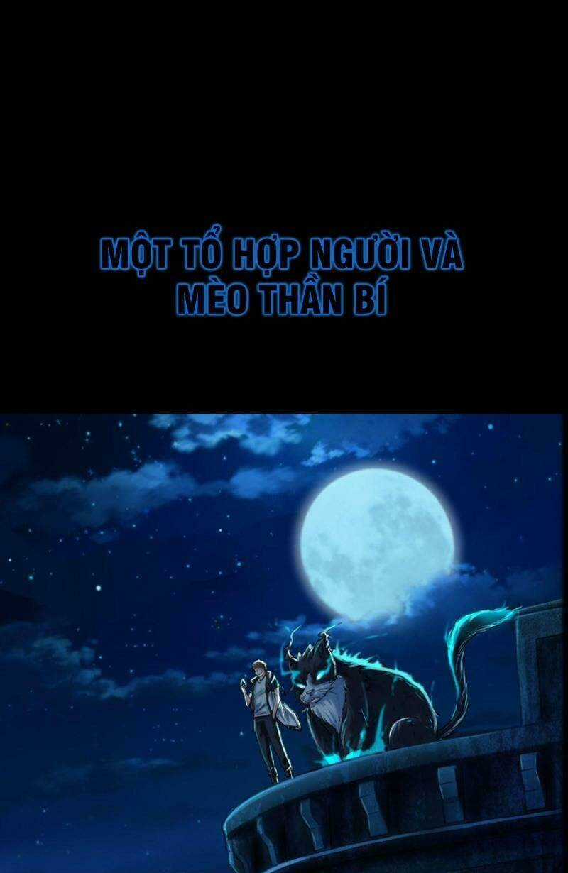 Tổ Điều Tra Trong Truyền Thuyết Tại Đô Thị Chapter 0 trang 4