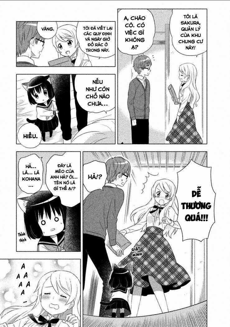 Tớ Là Mèo Kohana Chapter 1 trang 13