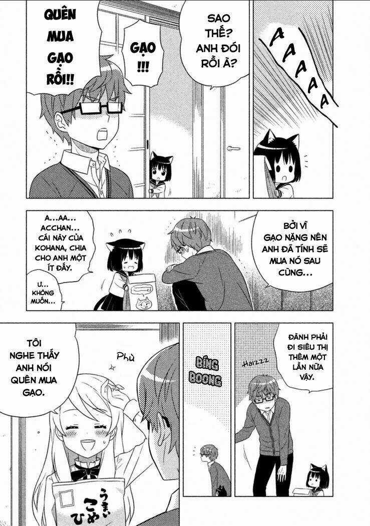Tớ Là Mèo Kohana Chapter 1 trang 19