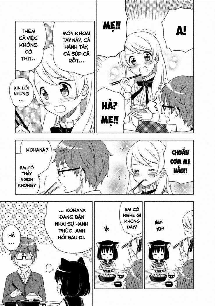 Tớ Là Mèo Kohana Chapter 1 trang 21